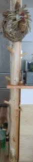 CIMG8727.jpg