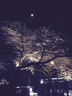 写真 2017-04-04 21 12 31.jpg
