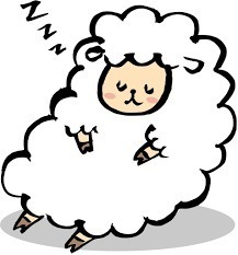 睡眠.jpg