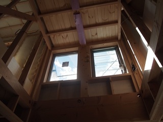 P1316211.jpg