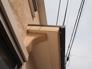 P3146507.jpg